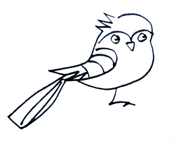 Learn to draw simple strokes, a simple way to draw a blue-tailed bird