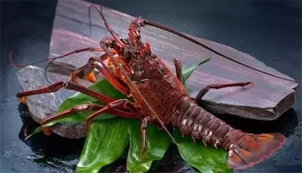 A Japanese boy carves a live wooden lobster, which is so ingenious that it looks like the real thing.