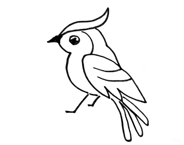 Learn to draw simple drawings, colorful parrots