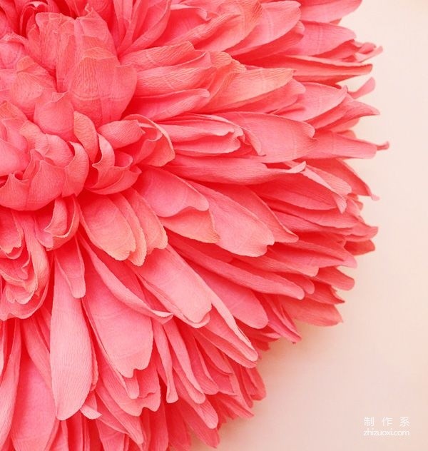 Appreciation of pictures of flowers blooming on paper, paper art flower handicrafts