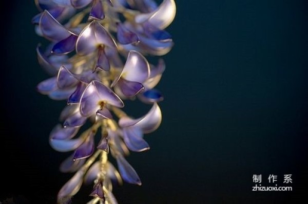 Exquisite dreamy flower hairpin