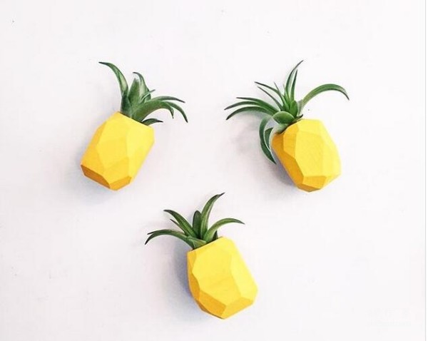 Pineapple Magnetic Air Plant Magnet