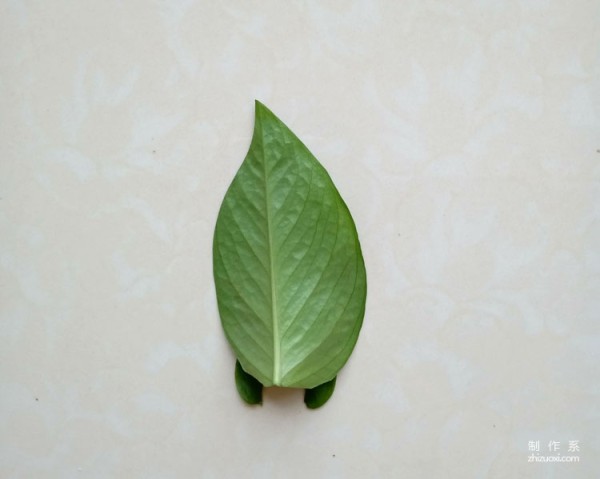 Steps for hand-painting leaf penguins