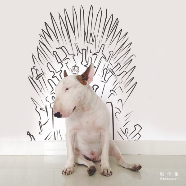 Bull Terrier: The leader of the silly and cute world