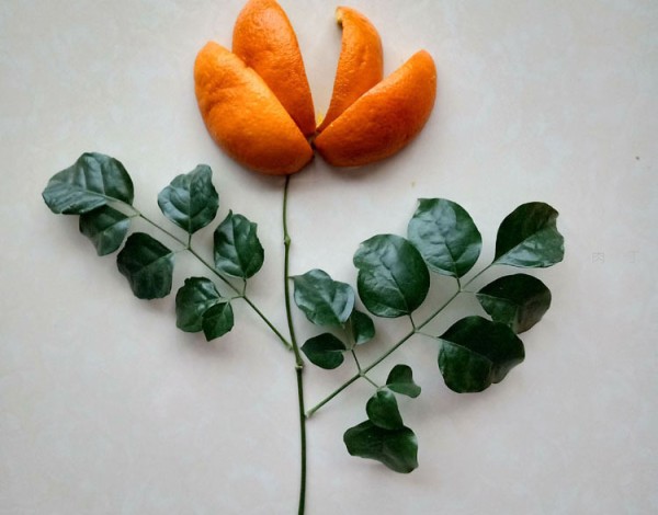 Orange peel and leaves creative collage beautiful flower sticker tutorial