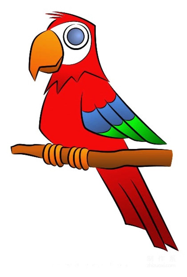 A collection of simple drawing pictures for kindergarten children, teach you step by step how to draw a colorful parrot