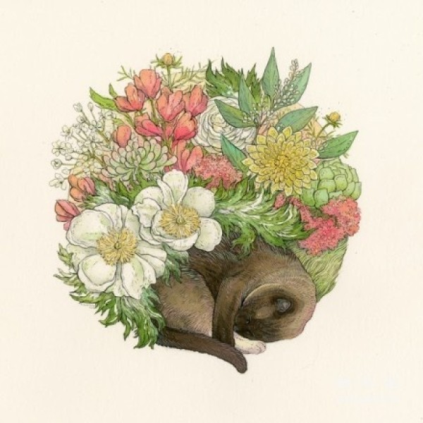 Nicole Gustafssons fresh and beautiful illustrations - a flower, a world