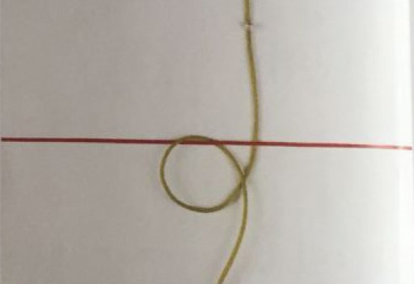 How to Knit Chinese Knots Yourself Lasso Knot Diagram