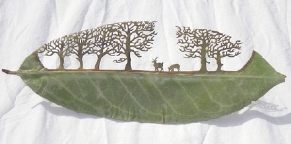 art on leaves