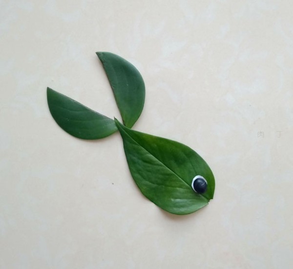 Beautiful and simple leaf stickers - illustrated tutorial on how to make tropical fish