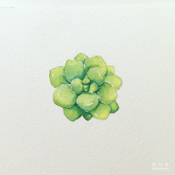 Teach you how to draw succulents in ten minutes watercolor tutorial is here~