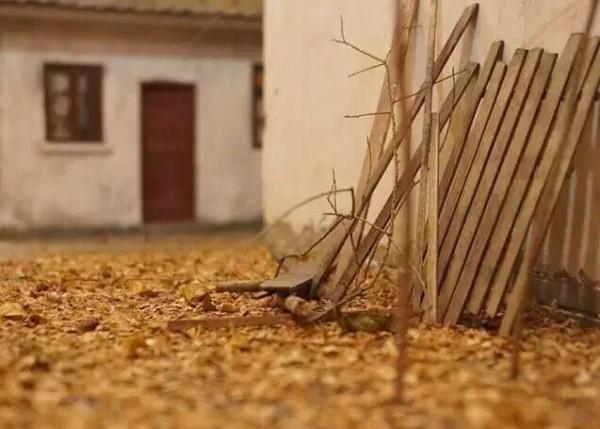 A young man from Beijing rebuilt a miniature old Beijing city