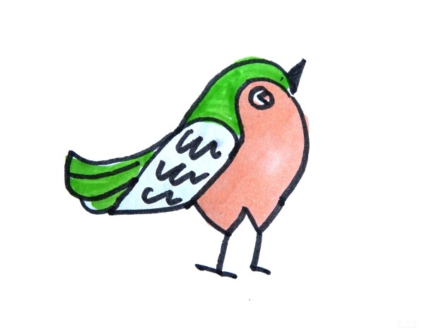 Learn to draw simple drawings, simple drawings of green-tailed birds