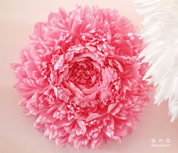 Appreciation of pictures of flowers blooming on paper, paper art flower handicrafts