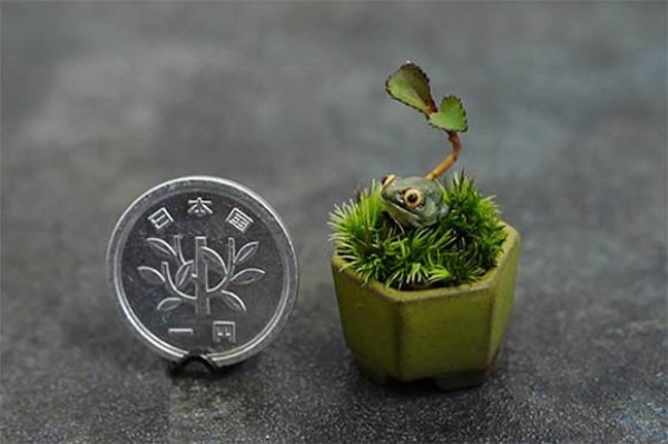 Three centimeters super mini bonsai