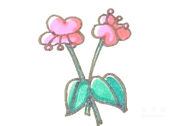 Learn to draw simple strokes, simple strokes of butterfly orchid