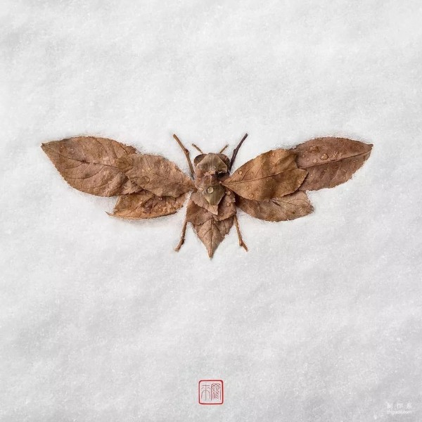 Make an insect world out of petals and leaves