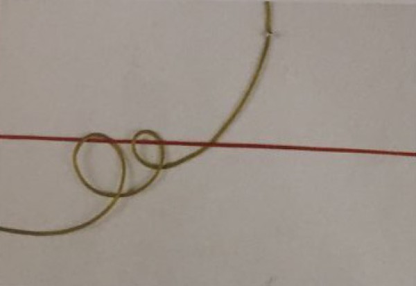 How to Knit Chinese Knots Yourself Lasso Knot Diagram