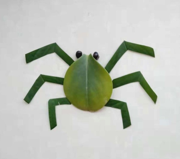 Illustrated tutorial for making spider leaf stickers using leaves and beans