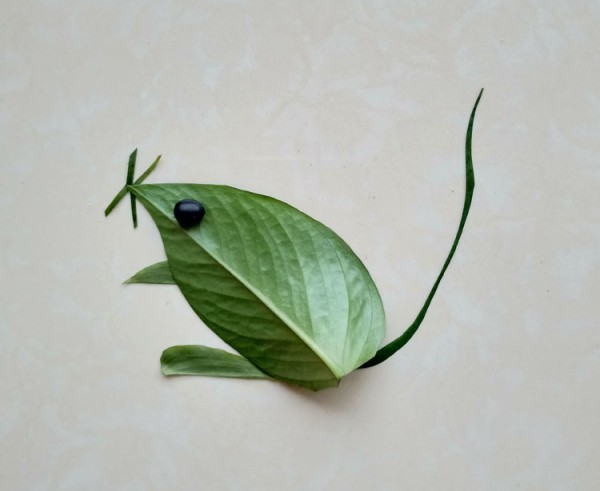 DIY mouse diagram using leaves and beans