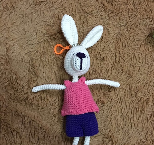 Appreciation of the cute little bunny doll hand-knitted with wool