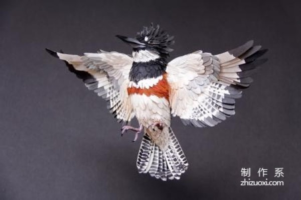 Lifelike paper bird works