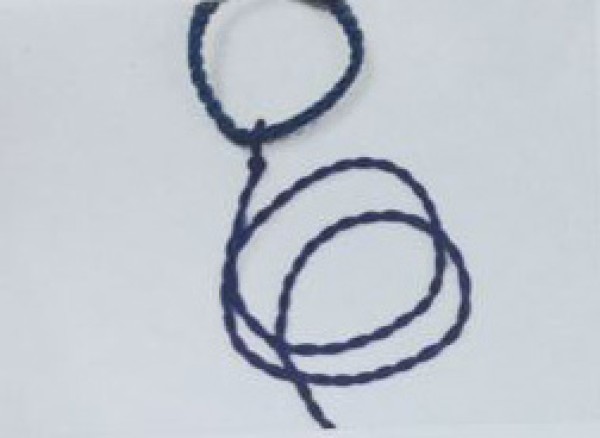 Illustration of Chinese knot bell pet chain