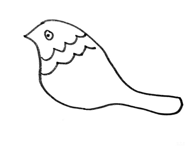 Learn to draw simple drawings, pointed bird