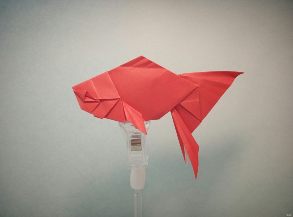 Paper art handmade origami art, cute goldfish HD handmade origami illustrated tutorial