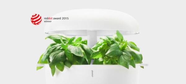 Smart garden Plantui allows you to eat fresh vegetables without leaving home