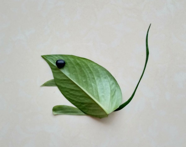 DIY mouse diagram using leaves and beans