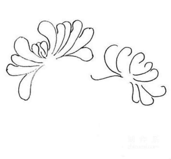 Learn to draw simple drawings, chrysanthemums during Double Ninth Festival