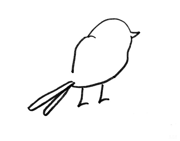 Learn to draw simple strokes, simple drawing methods of colorful birds