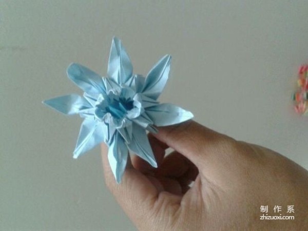 Chrysanthemum origami tutorial illustration for Double Ninth Festival