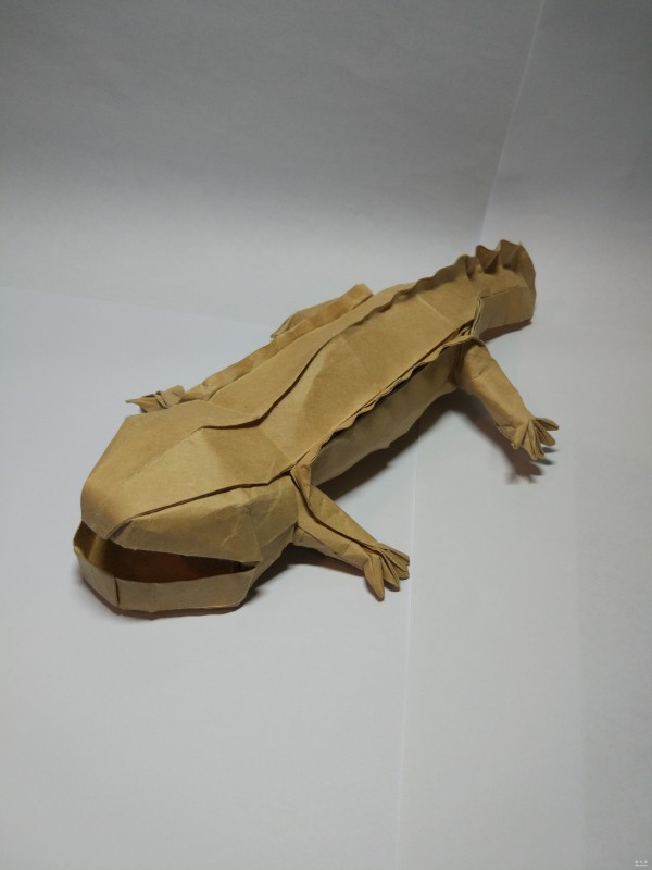 Handmade origami tutorial, universal origami complex origami Toyomura Takashi Salamander origami real shot tutorial