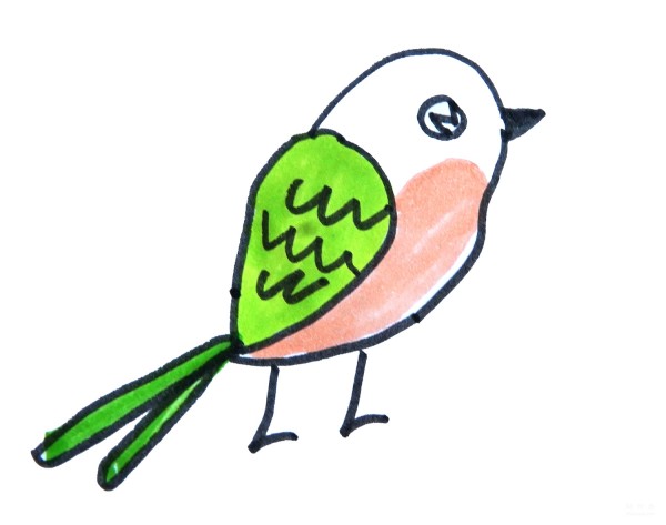 Learn to draw simple strokes, simple drawing methods of colorful birds