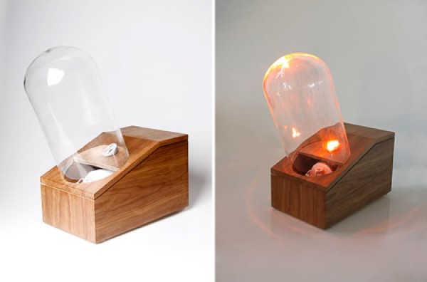 Creative bubble table lamp