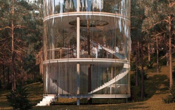 forest glass house