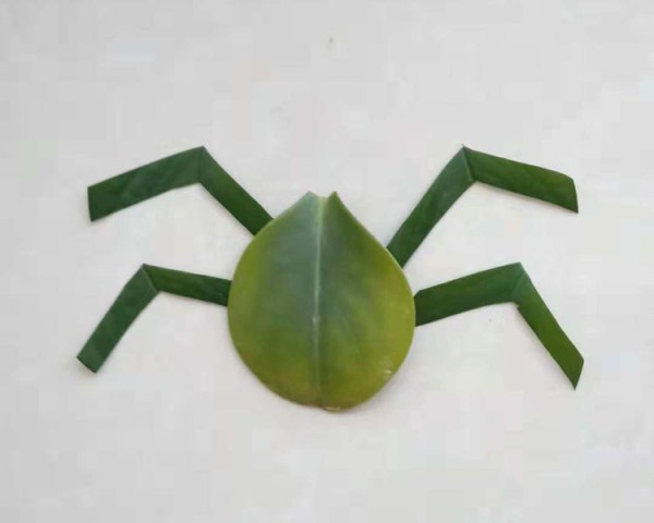 Illustrated tutorial for making spider leaf stickers using leaves and beans