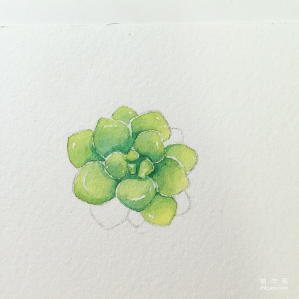 Teach you how to draw succulents in ten minutes watercolor tutorial is here~