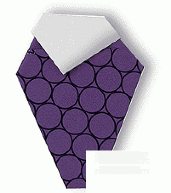 Grape origami method