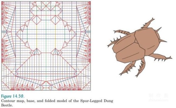 Robert J Langs basic knowledge of origami design and introduction to snake belly