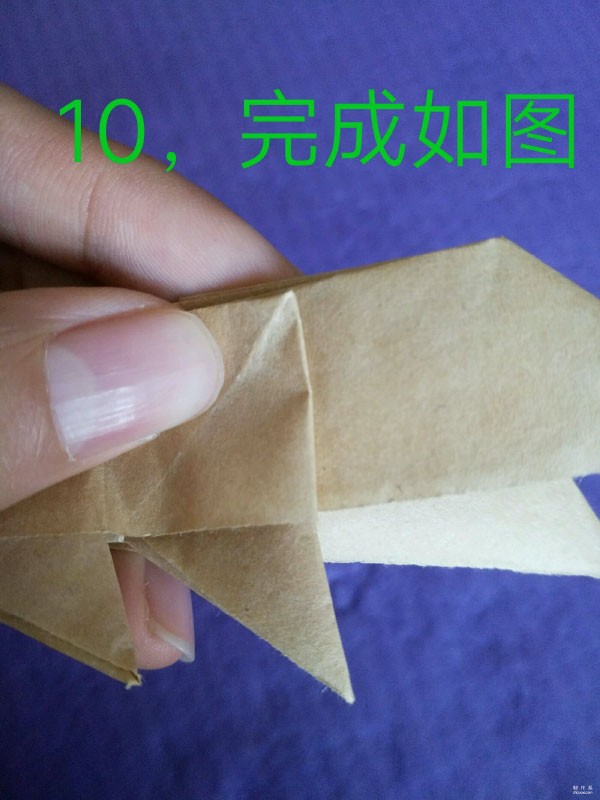 Real-life tutorial on the simple origami method of two-color fish that can be partially flipped