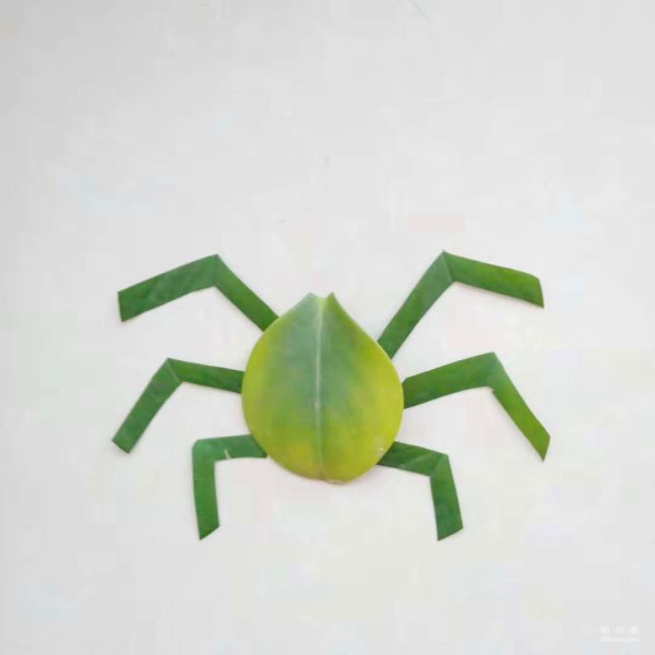 Handmade sticker illustration of insect spider