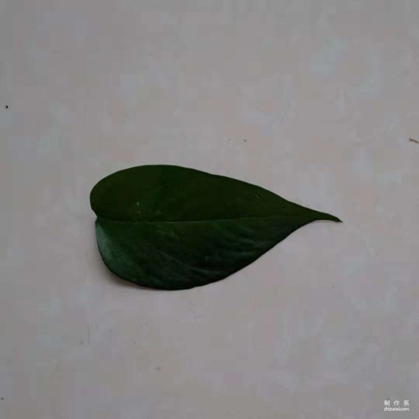 Leaf stickers tutorial on how to paste peacock leaves into puzzles