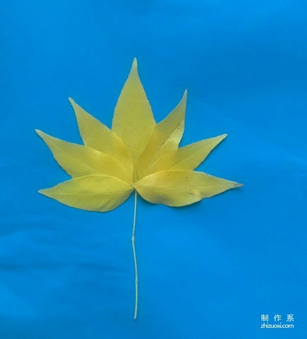 Beautiful and creative DIY handmade leaf stickers tutorial to make golden chrysanthemums