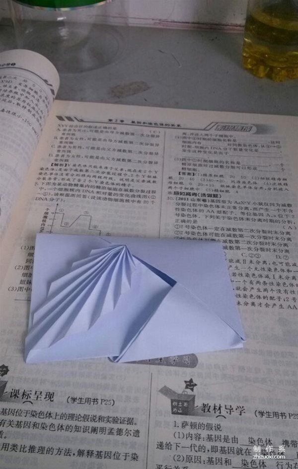 Illustration of the origami method of DIY acacia leaf stationery