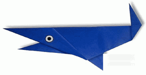 Illustration of how to make origami shark for children