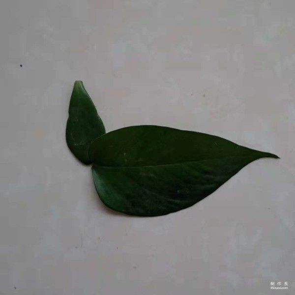 Leaf stickers tutorial on how to paste peacock leaves into puzzles