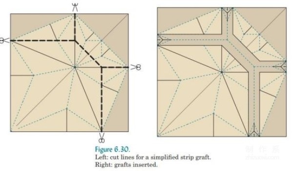 Robert J Langs basic knowledge of origami design and introduction to snake belly